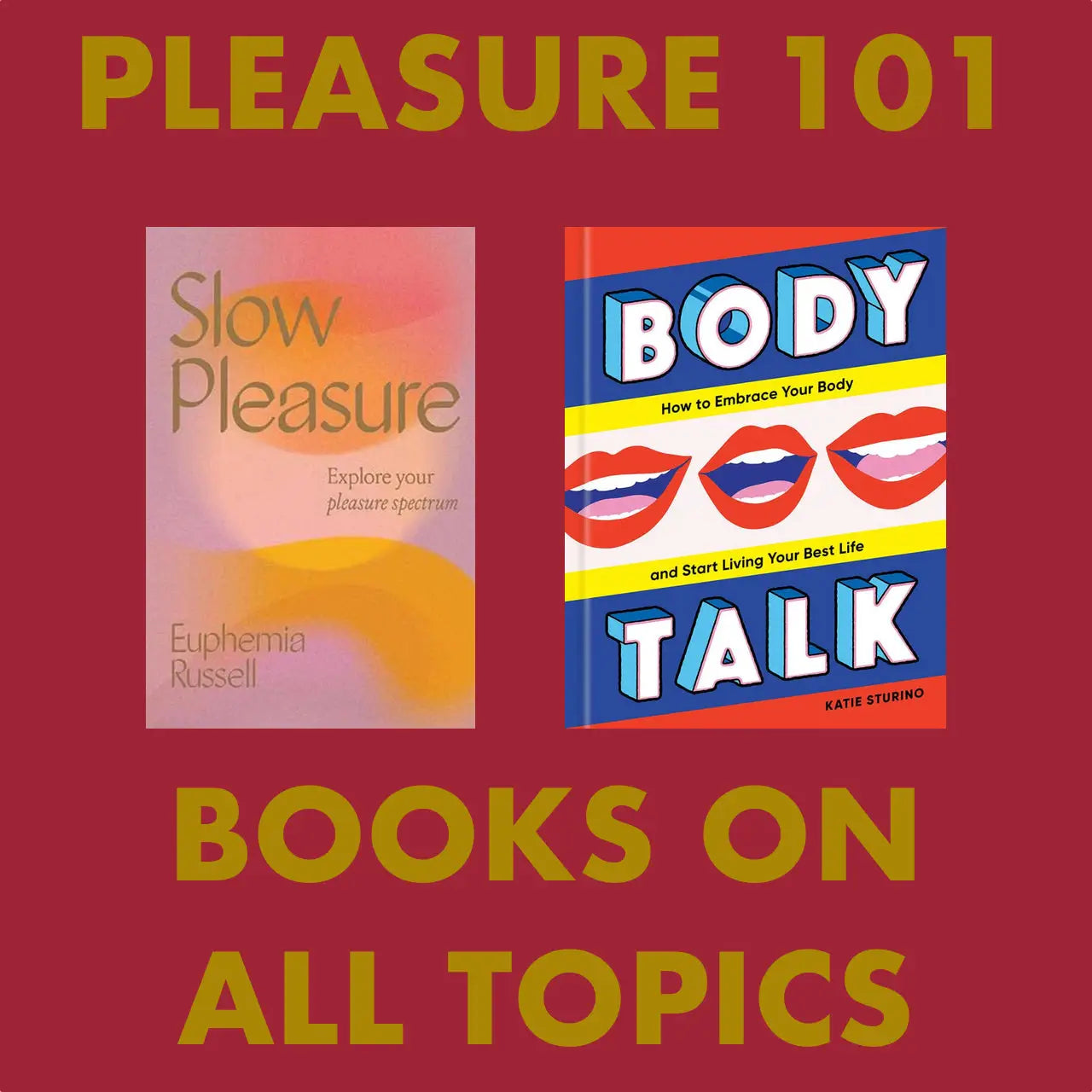 Pleasure 101 - Books on All Topics - Rolik®