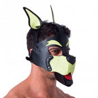 Pup Play Hood