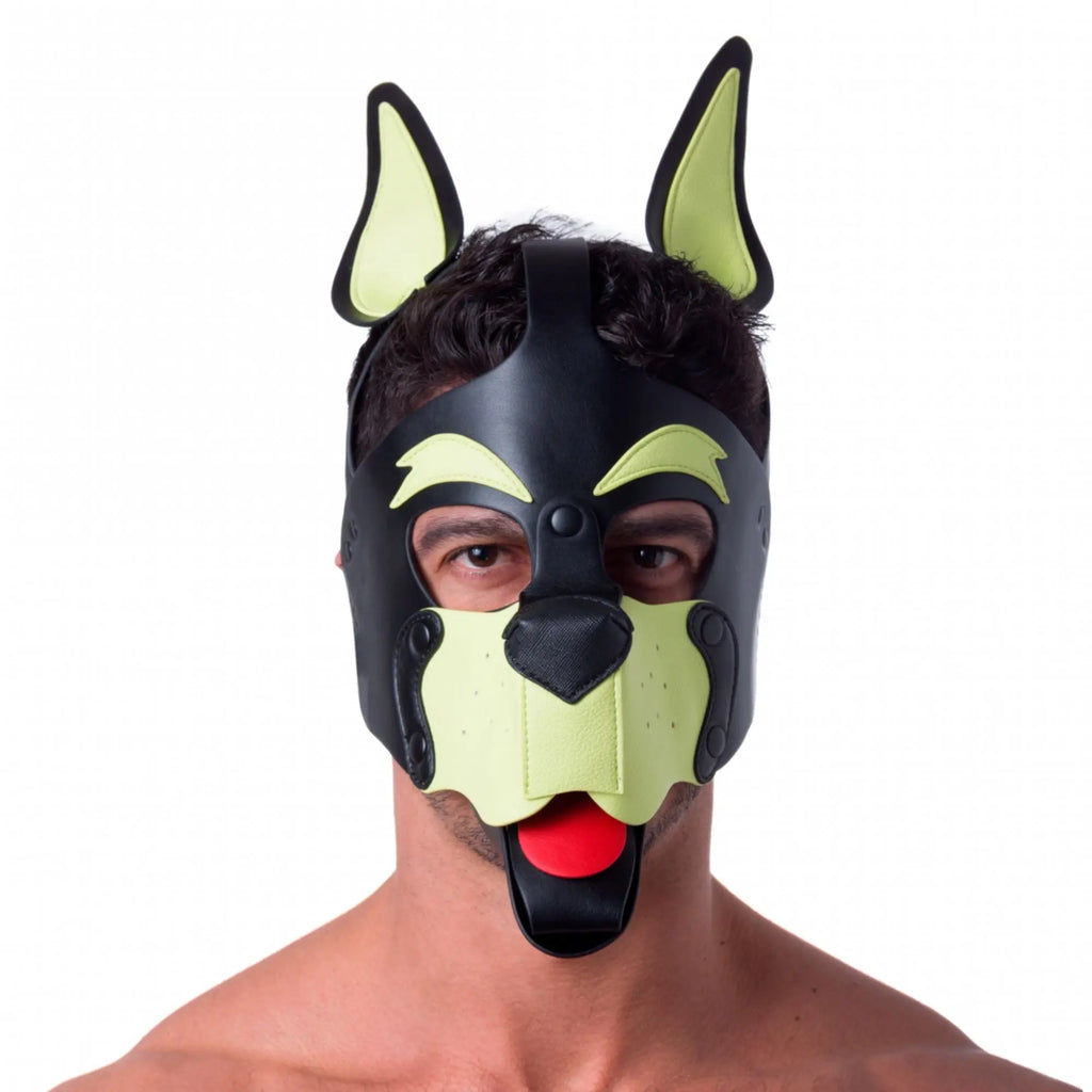 Yellow Pup Play Hood