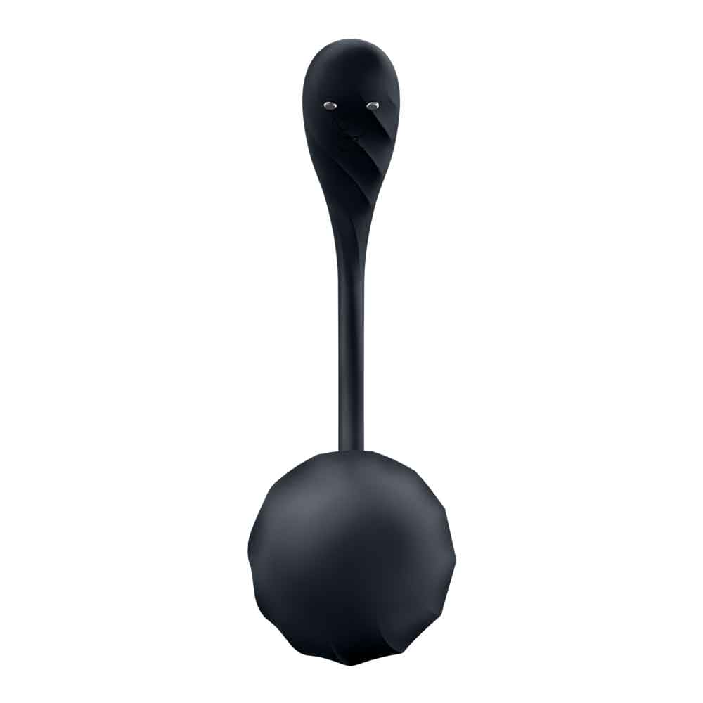 Satisfyer Ribbed Petal Smart Remote Wearable Vibrator Black - Rolik®