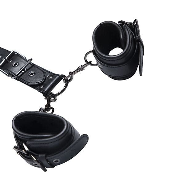 Kinky Play Box Locking Harness Collar to Wrist Restraints - Rolik®