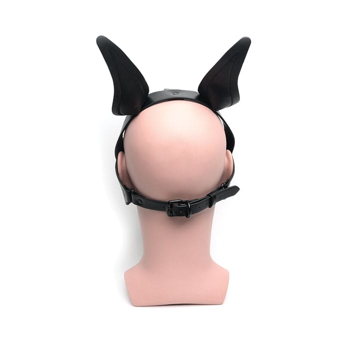 665 Playful Pup Hood Black - Rolik®