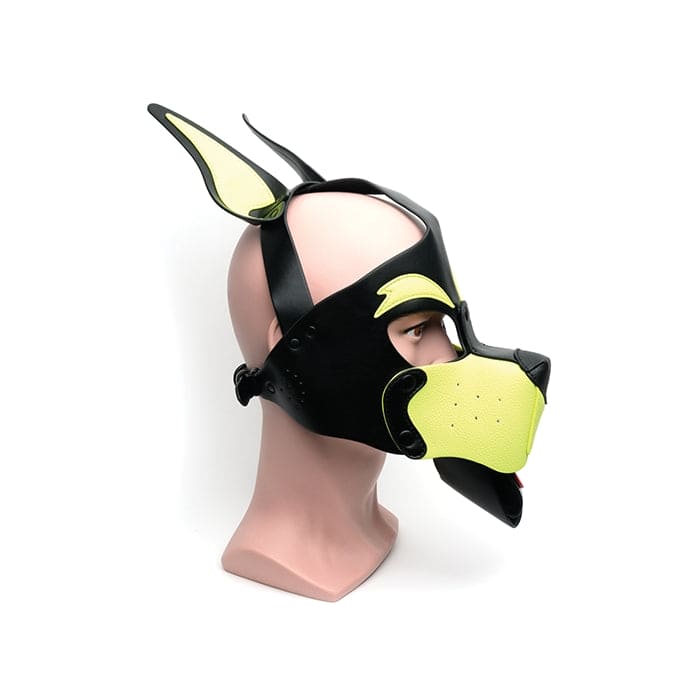 665 Playful Pup Hood Yellow - Rolik®