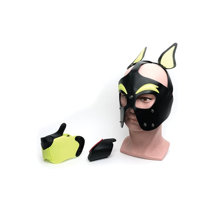 665 Playful Pup Hood Yellow - Rolik®