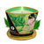 Shunga Massage Candle Green Tea - Rolik®