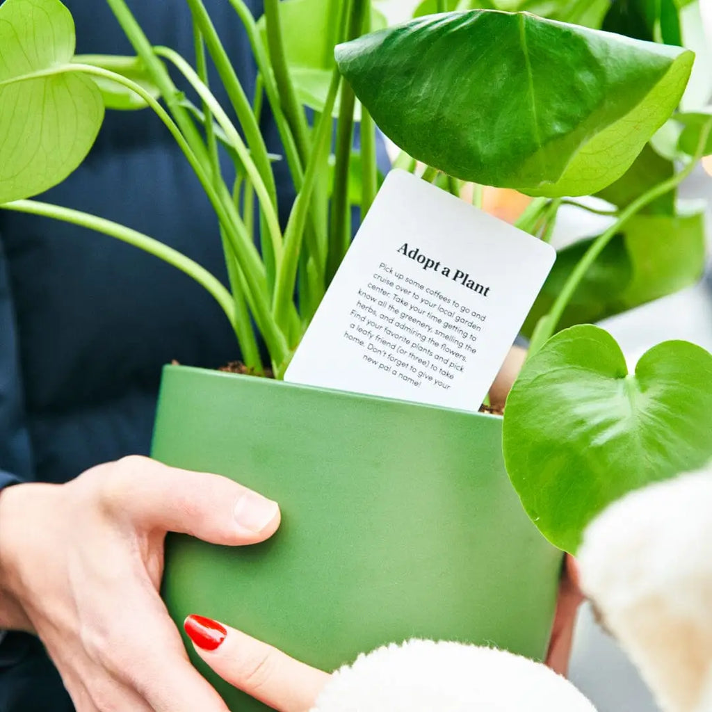 BestSelf Co. It’s a Date | 52 Couples Night Activity Cards