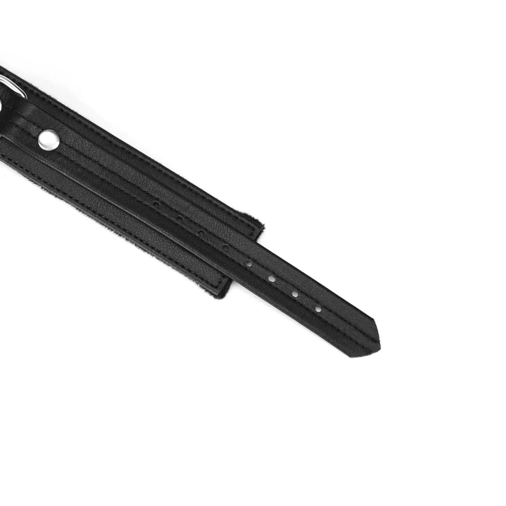 Black Bond Collection Collar with Leash