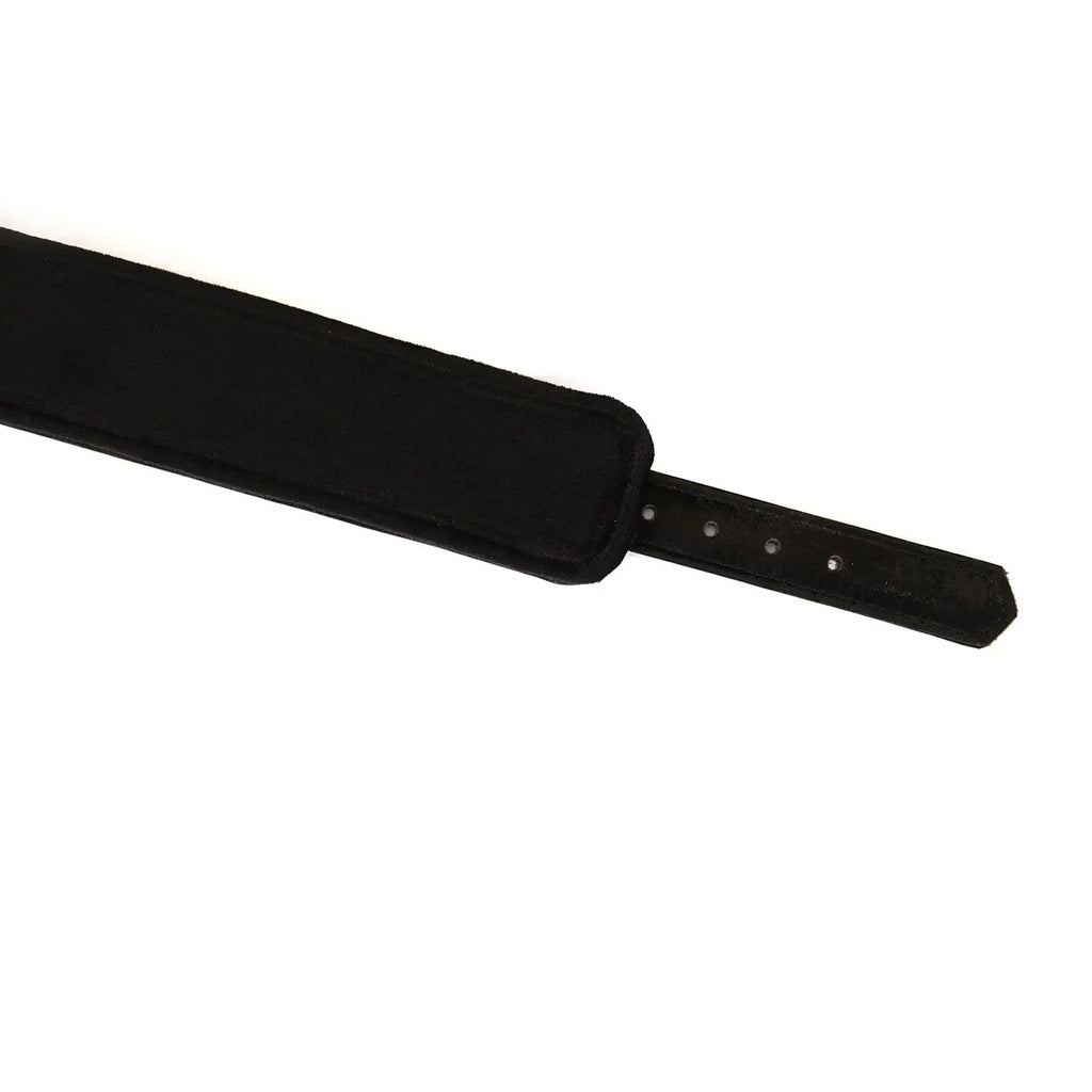 Boudoir Amor Collection Vegan Leather Collar with Leash