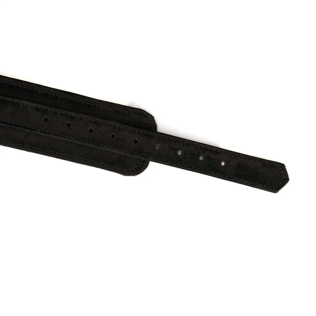 Boudoir Amor Collection Vegan Leather Collar with Leash