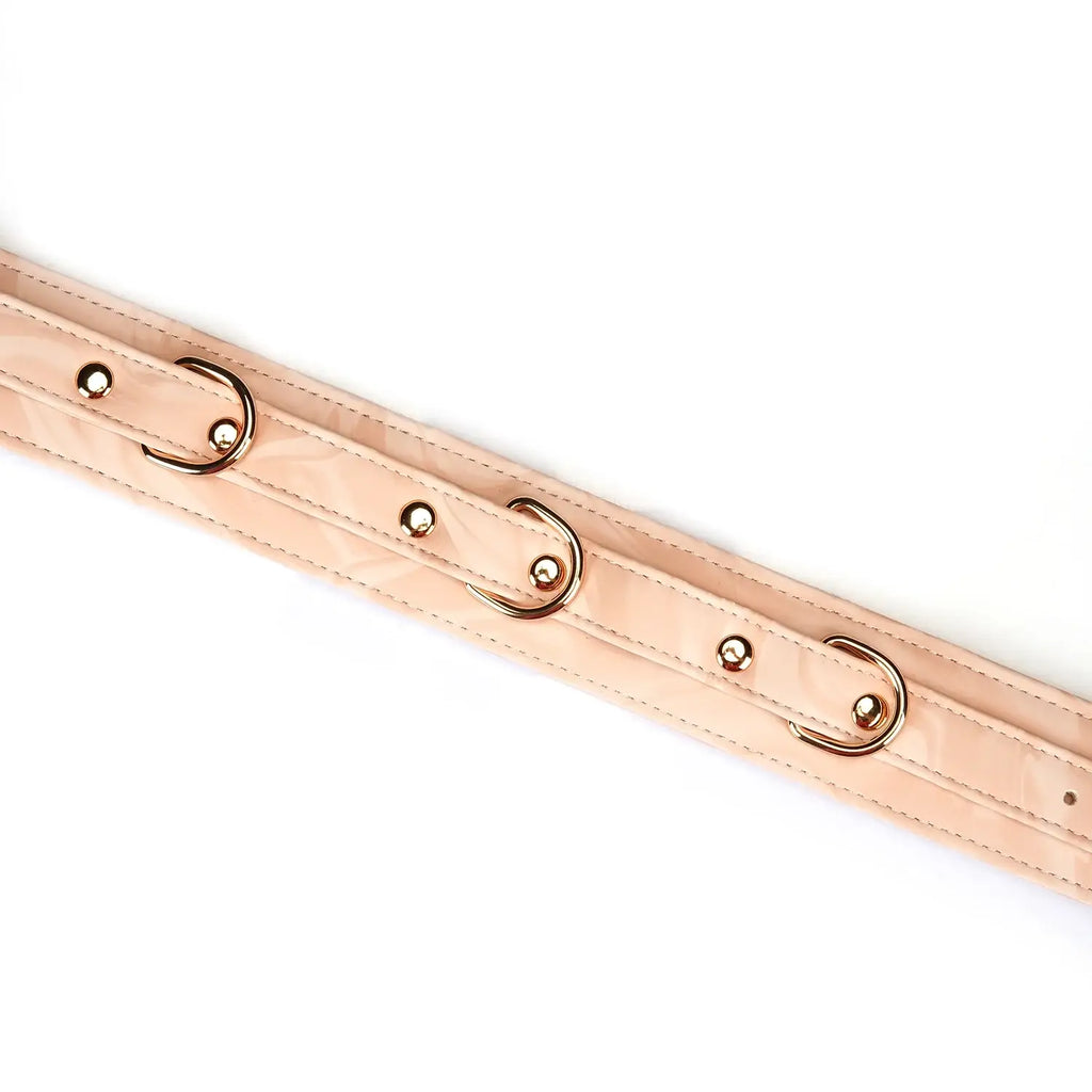 Boudoir Amor Collection Vegan Leather Collar with Leash