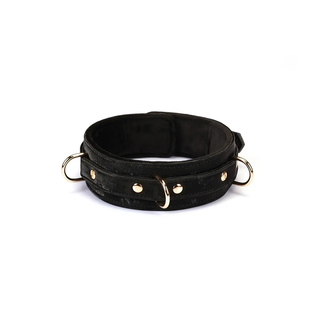 Boudoir Amor Collection Vegan Leather Collar with Leash