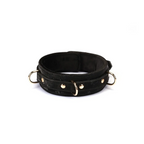Boudoir Amor Collection Vegan Leather Collar with Leash