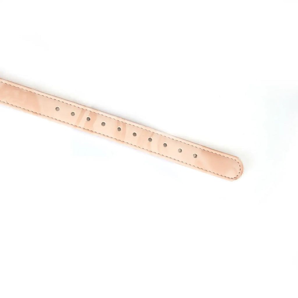 Boudoir Amor Collection Vegan Leather & Silicone Bag Gag