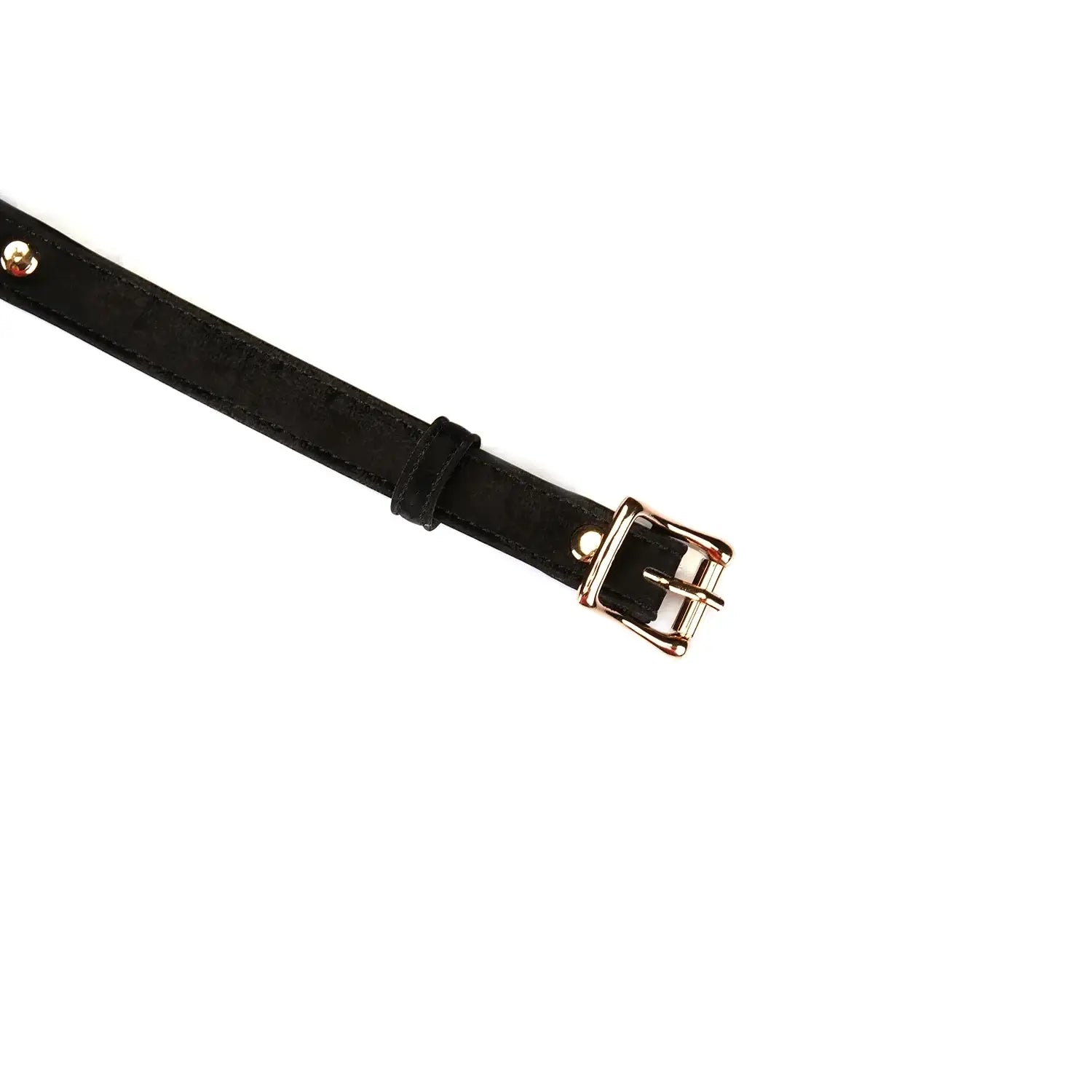 Boudoir Amor Collection Vegan Leather & Silicone Bag Gag