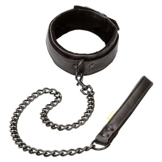 Boundless™ Collar & Leash - Rolik®