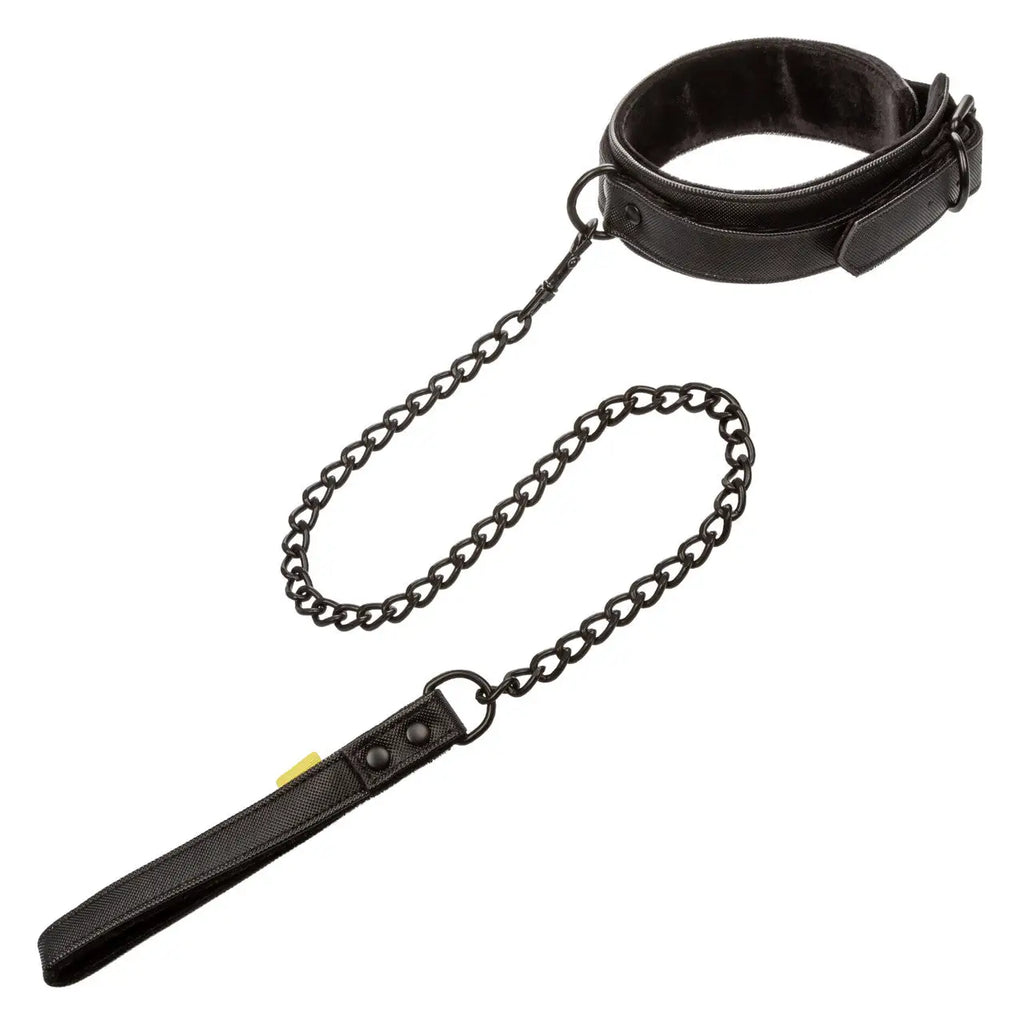 Boundless™ Collar & Leash - Black - Restraints