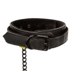 Boundless™ Collar & Leash - Black - Restraints