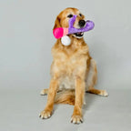 Bunny Vanderpup Dog Toy - Rolik®