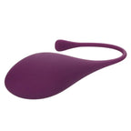 CalExotics® Kegel Training 5 - Piece Set - Rolik®