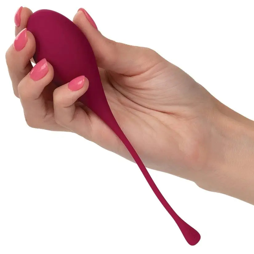 CalExotics® Kegel Training 5 - Piece Set - Rolik®