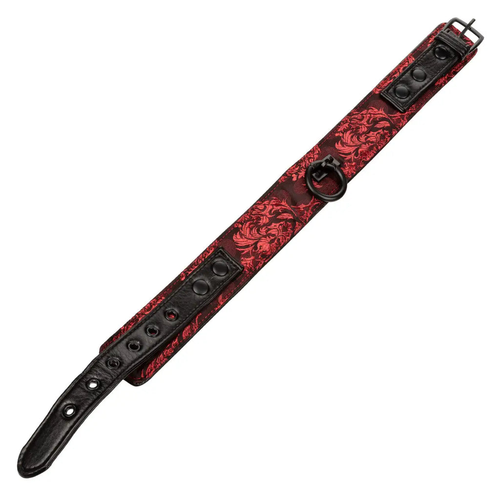 Red Scandal® Collar With Leash