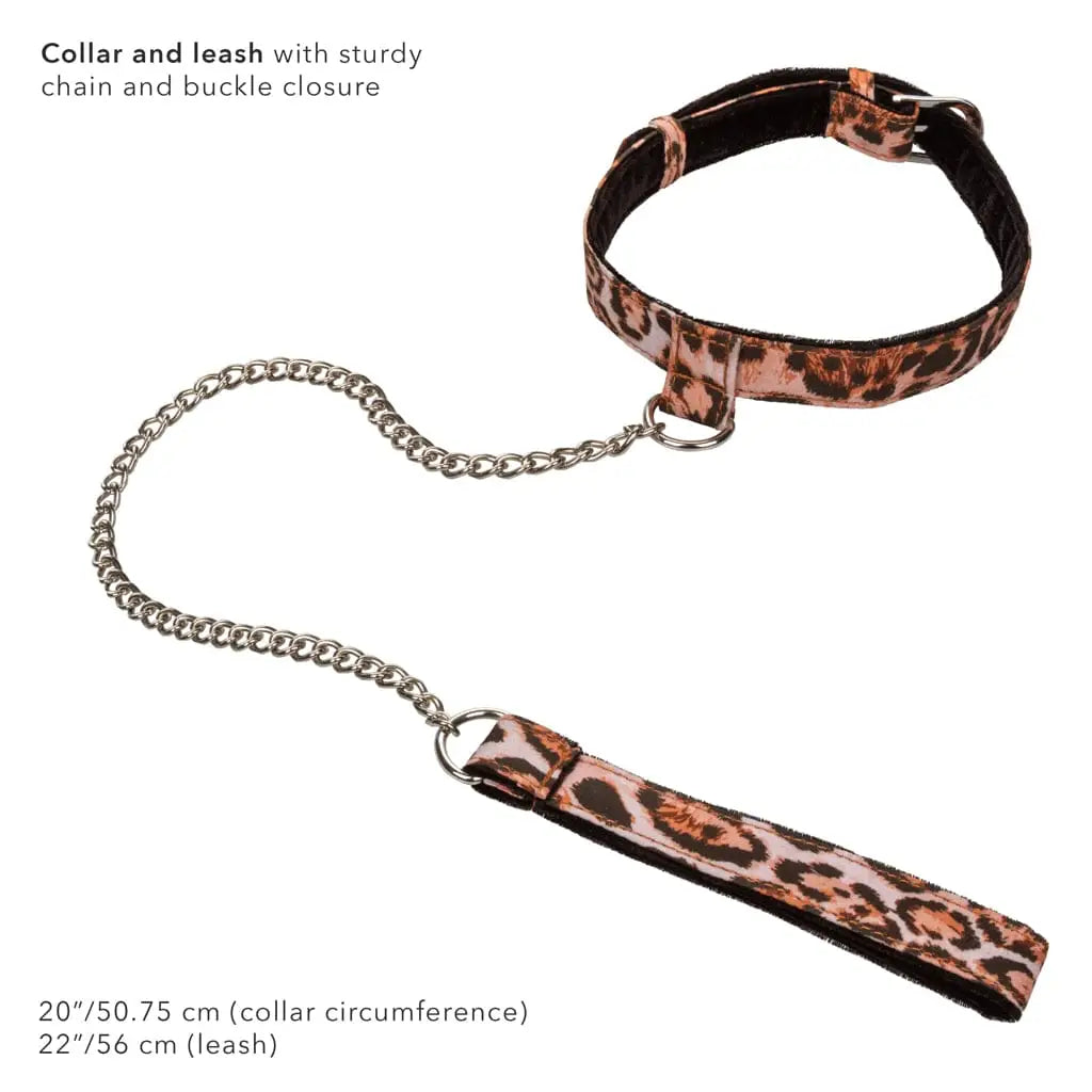 Unleashed™ Adventure Bondage Set - Rolik®