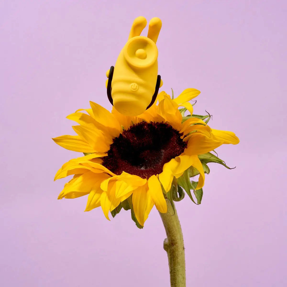 CAMTOYZ Lolly Bumble Bee Vibrator