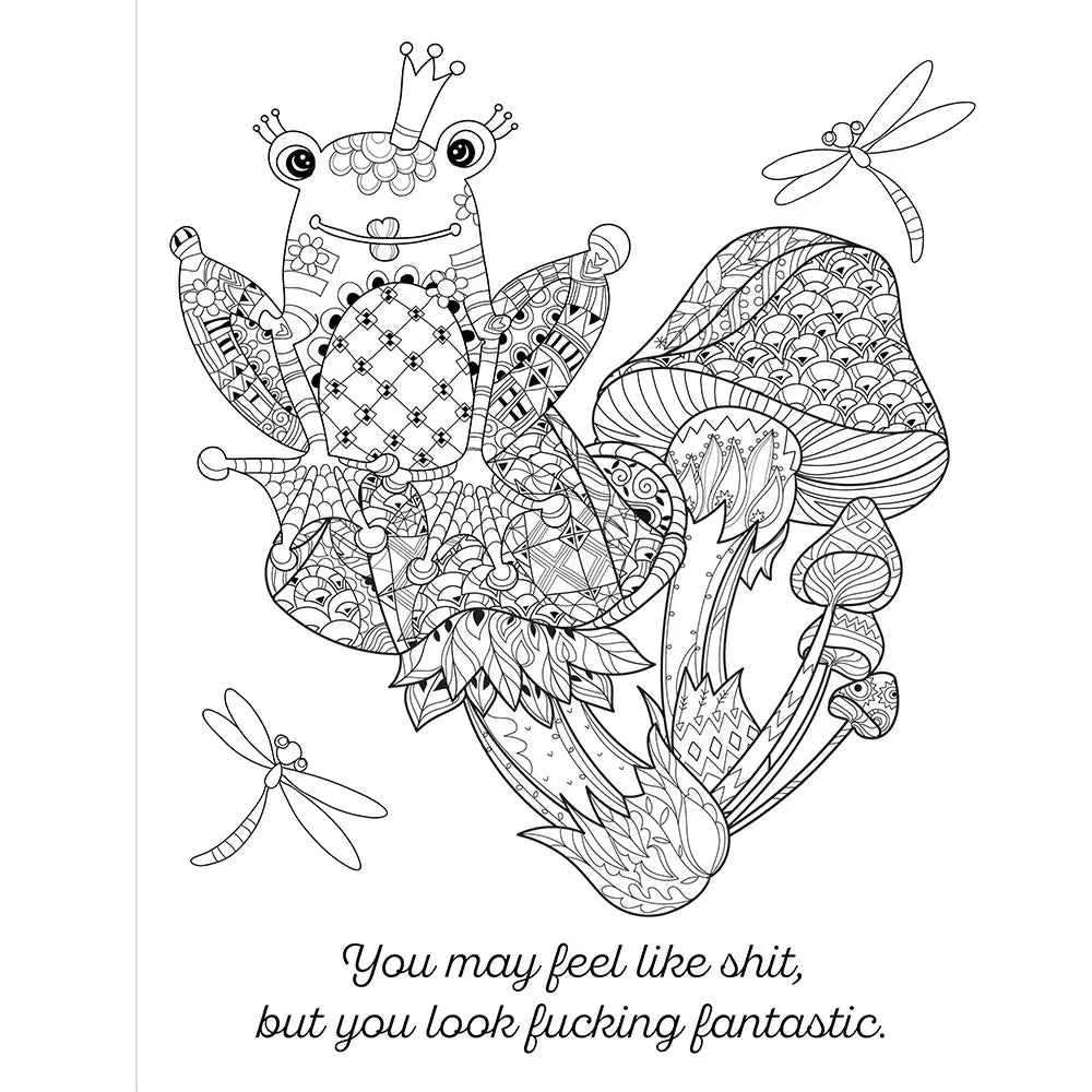 Cheer the F*ck Up Coloring Book - Books