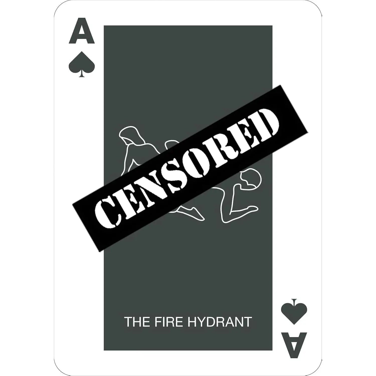 Chronicle Books Position of the Day Playing Cards - 52 Sex Positions Deck