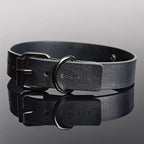 Gunmetal Glam Pleasure Collar & Leash
