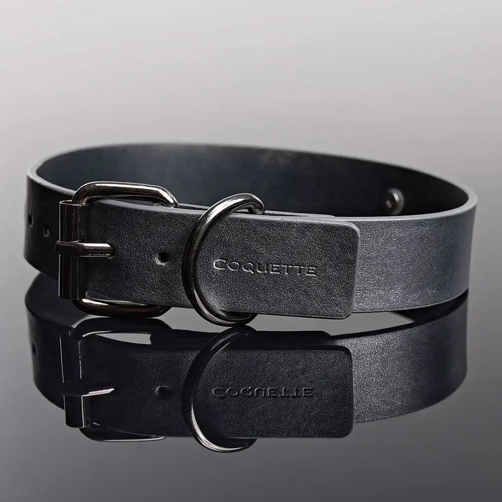 Gunmetal Glam Pleasure Collar & Leash