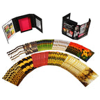 Cosmo's Kinky Sex Games - Rolik®