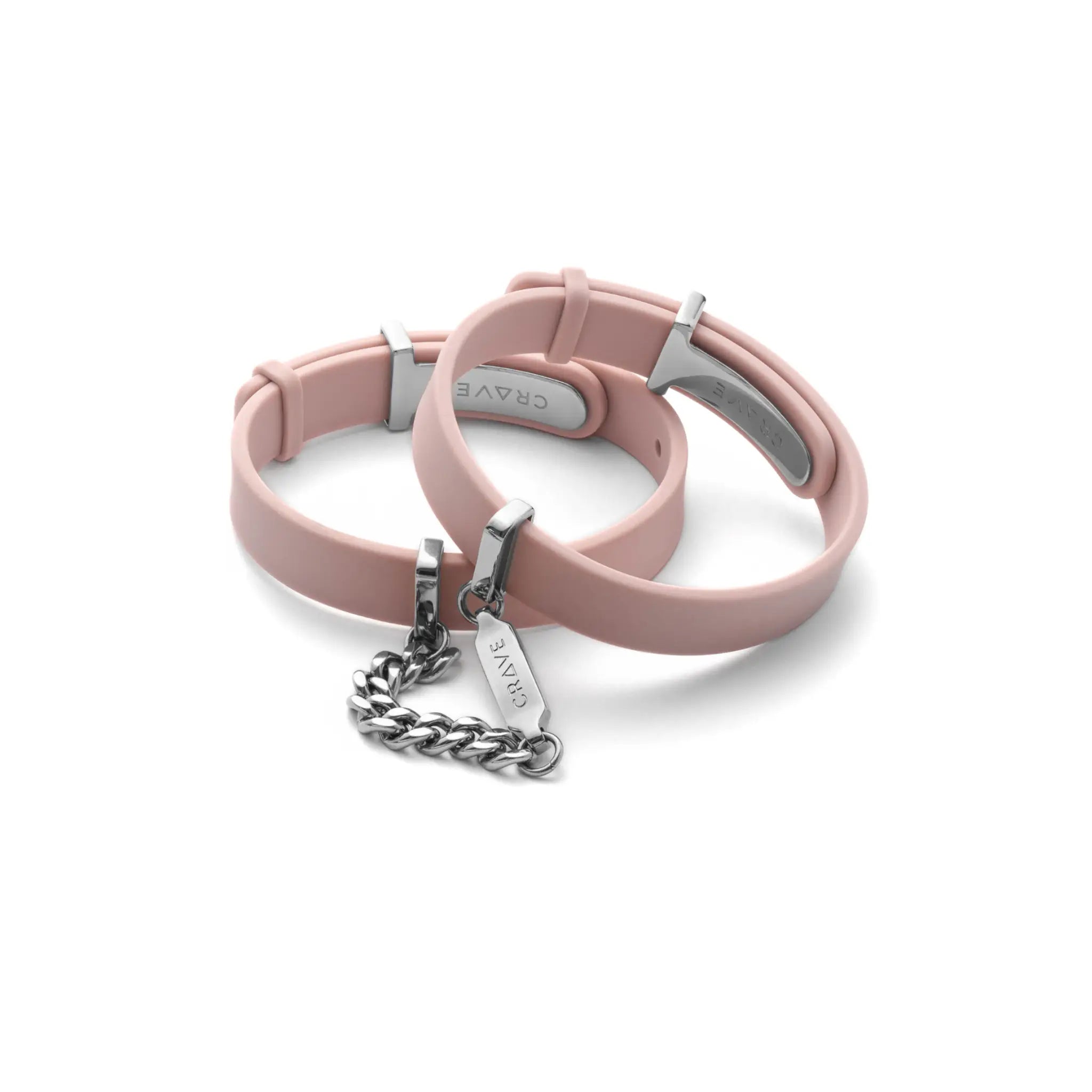 Pink dog collar with silver tag on a white background