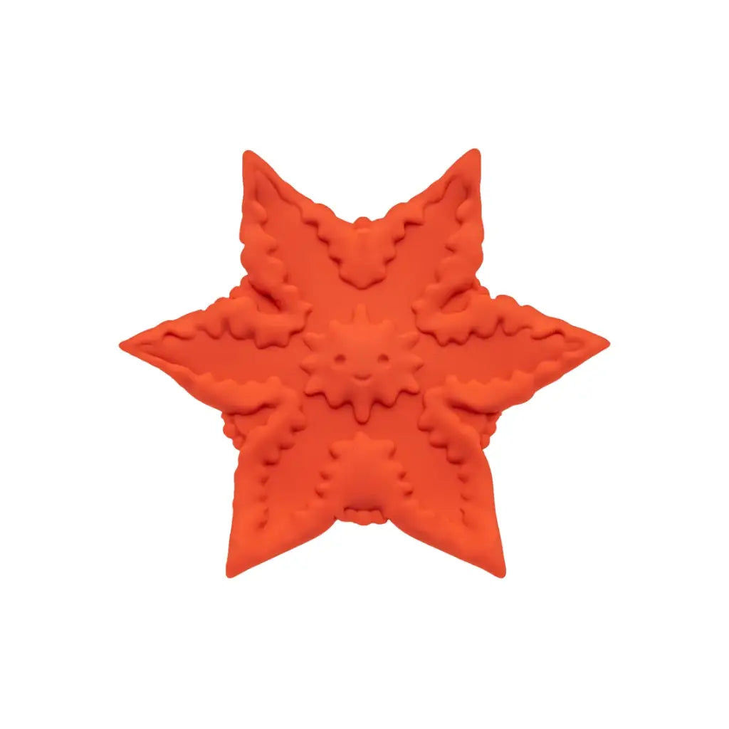 Cute Little F*ckers Starsi Vibrator - Rechargeable Body Massager for All Genders Coral