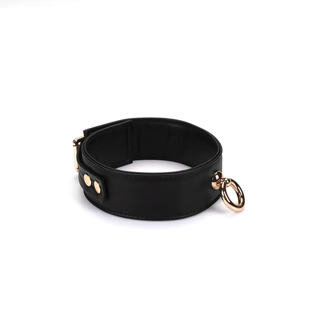 Dark Candy Vegan Leather Collar with Leash