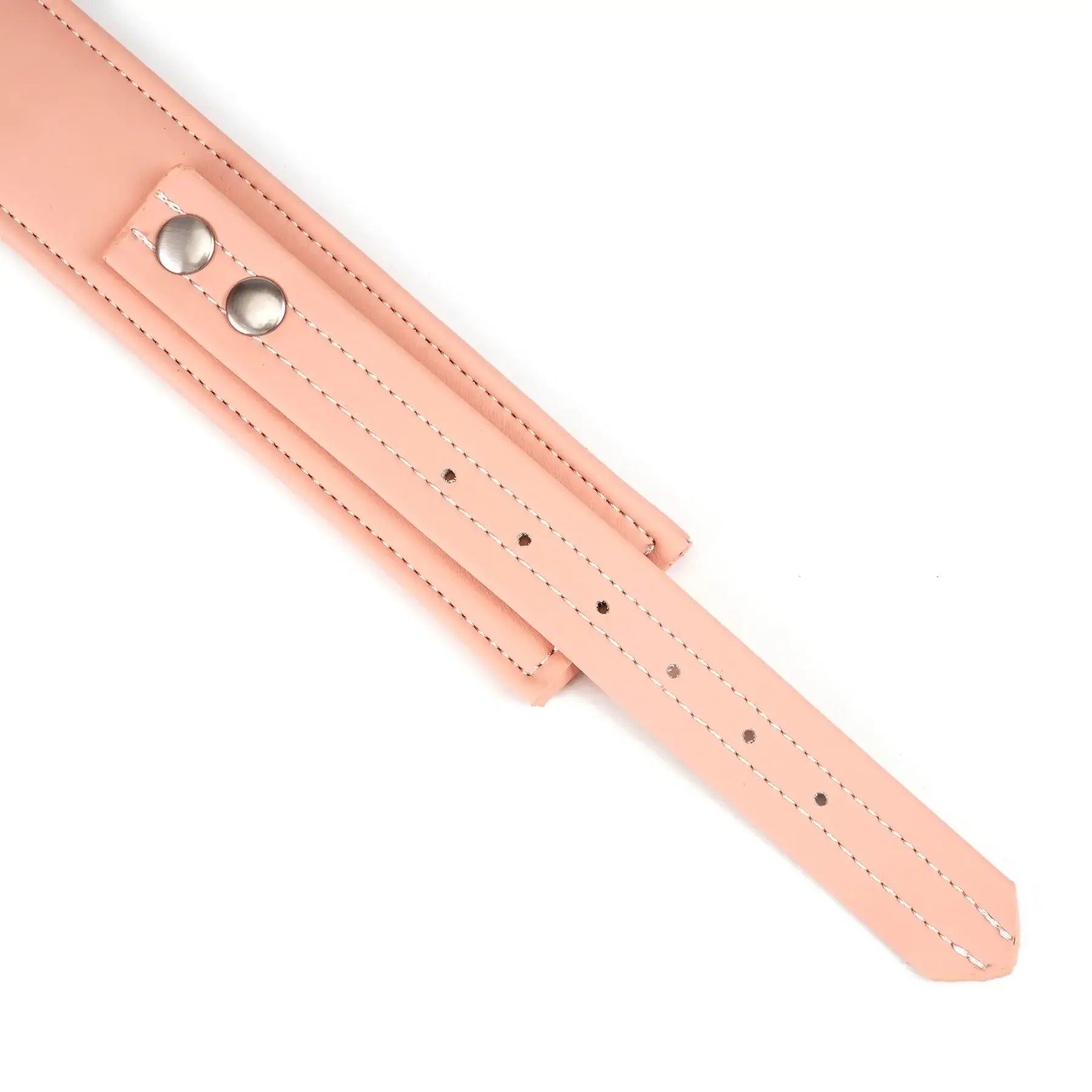 Dark Candy Vegan Leather Collar with Leash