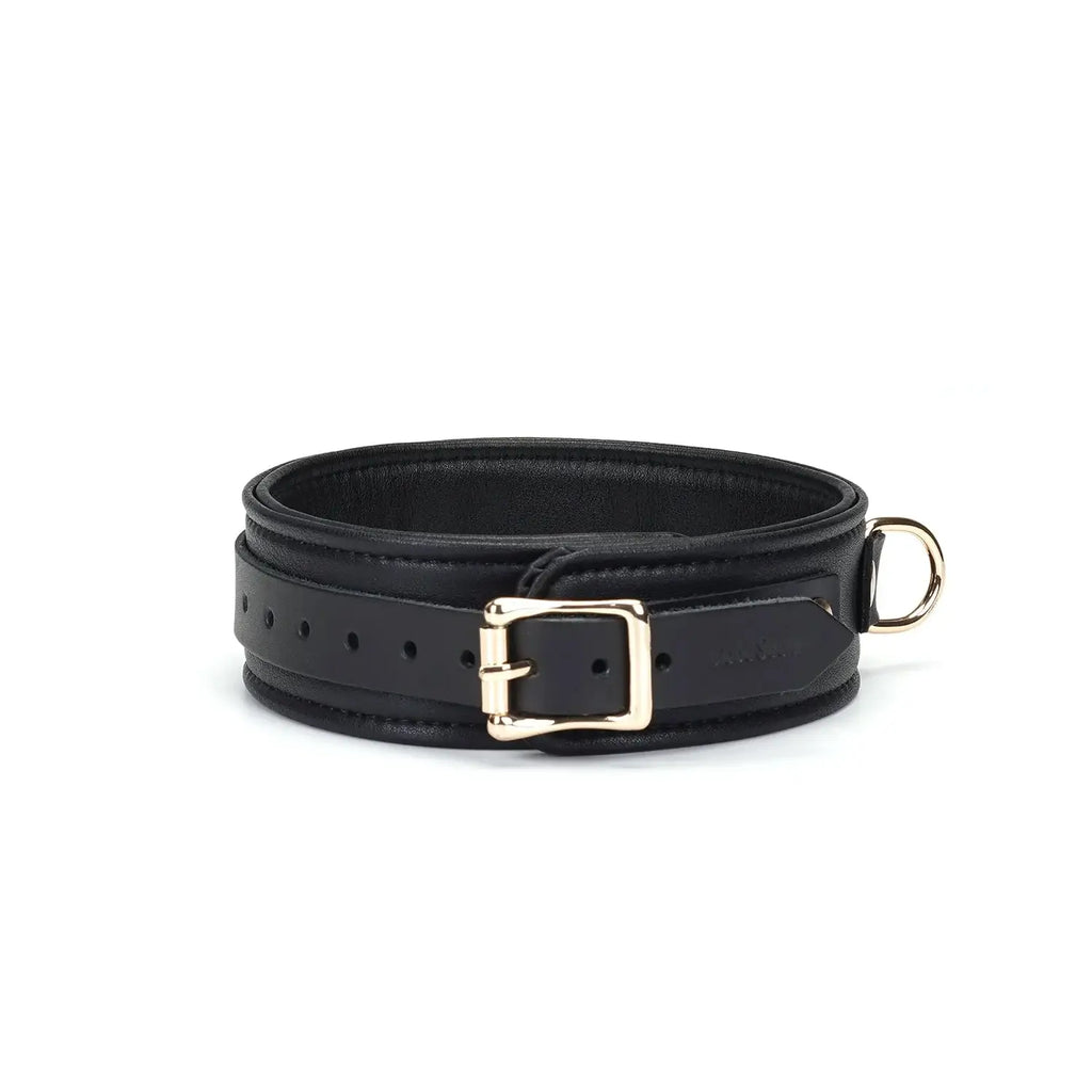 Dark Secret Collection Leather Collar and Leash - Black - Restraints
