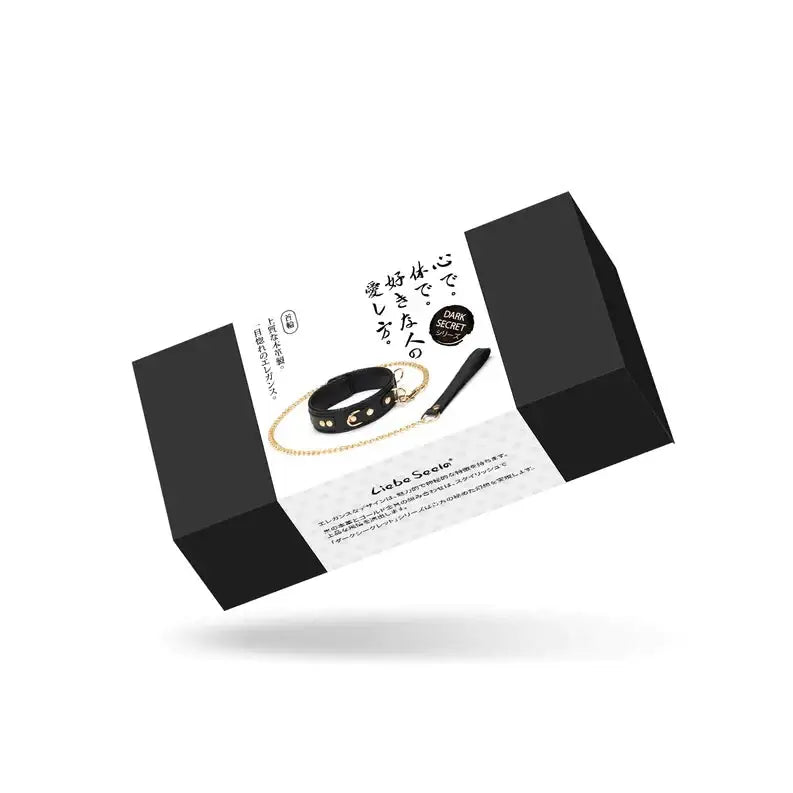 Dark Secret Collection Leather Collar and Leash - Black - Restraints