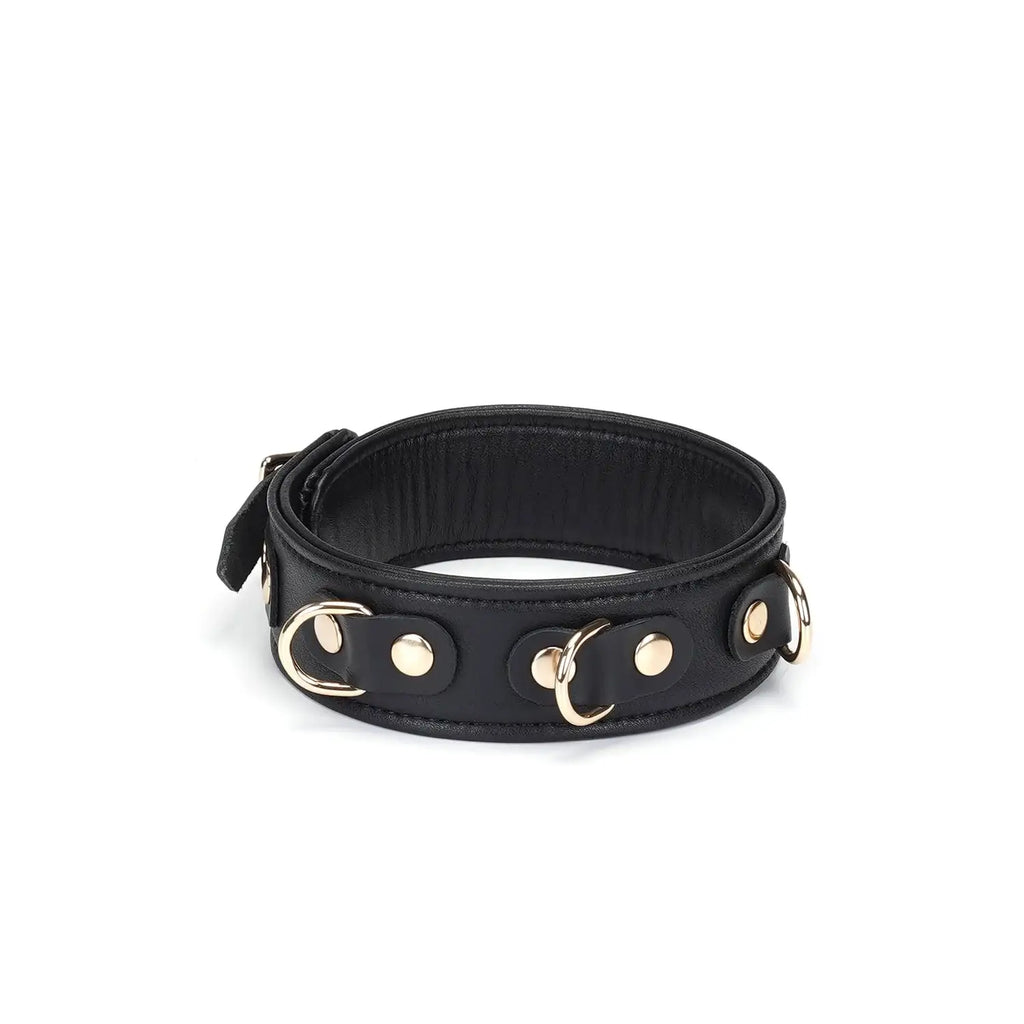 Dark Secret Collection Leather Collar and Leash - Black - Restraints