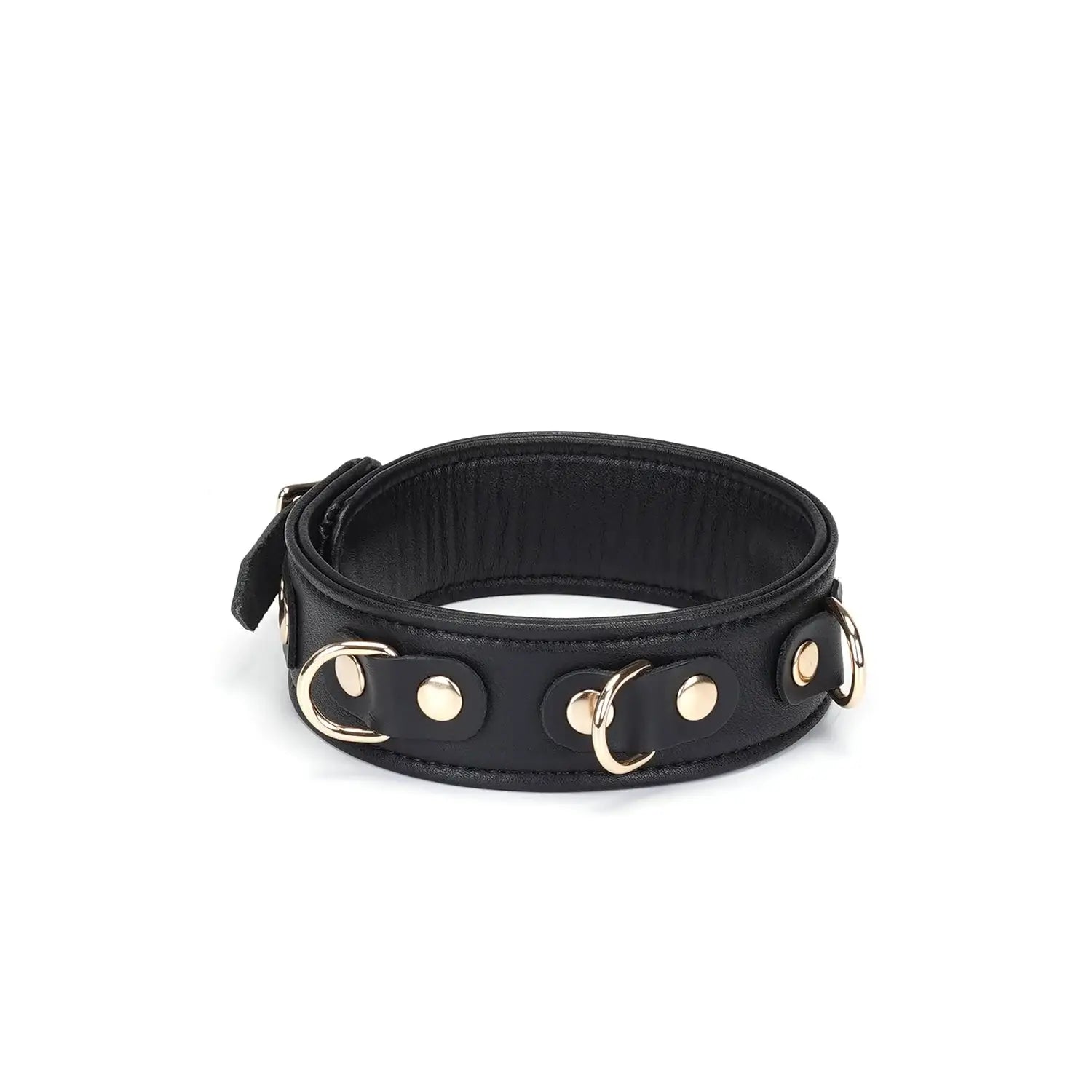 Dark Secret Collection Leather Collar and Leash - Black - Restraints