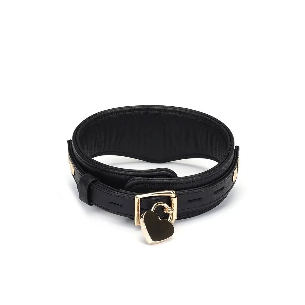 Dark Secret Collection Leather Deluxe Curved Collar with Leash & Lock - Black - Restraints