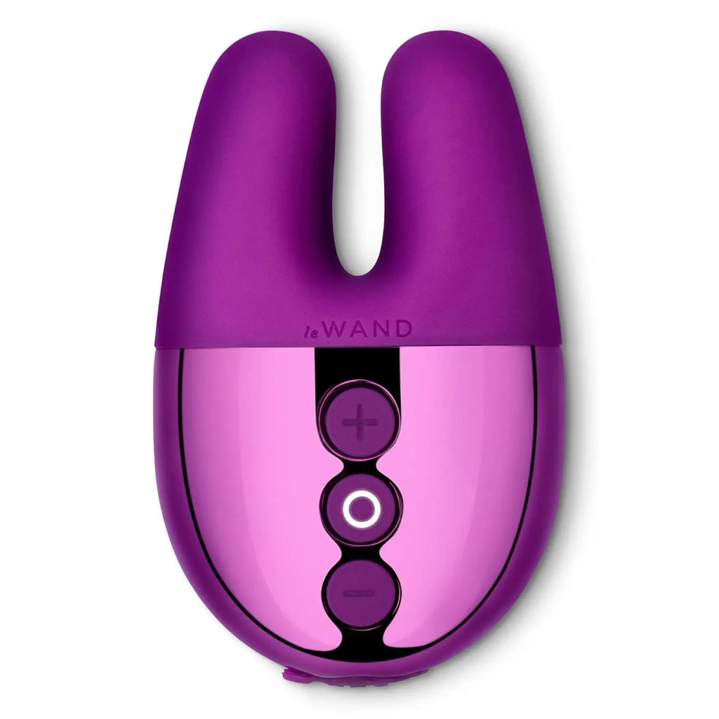 Double Vibrator - Purple