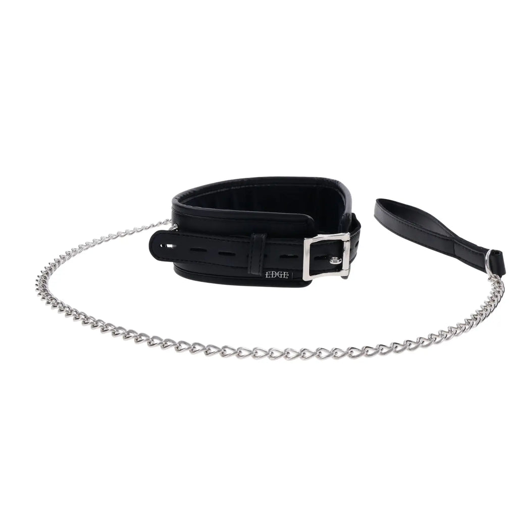 Edge® Collar & Leash - Restraints