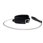 Edge® Collar & Leash - Restraints