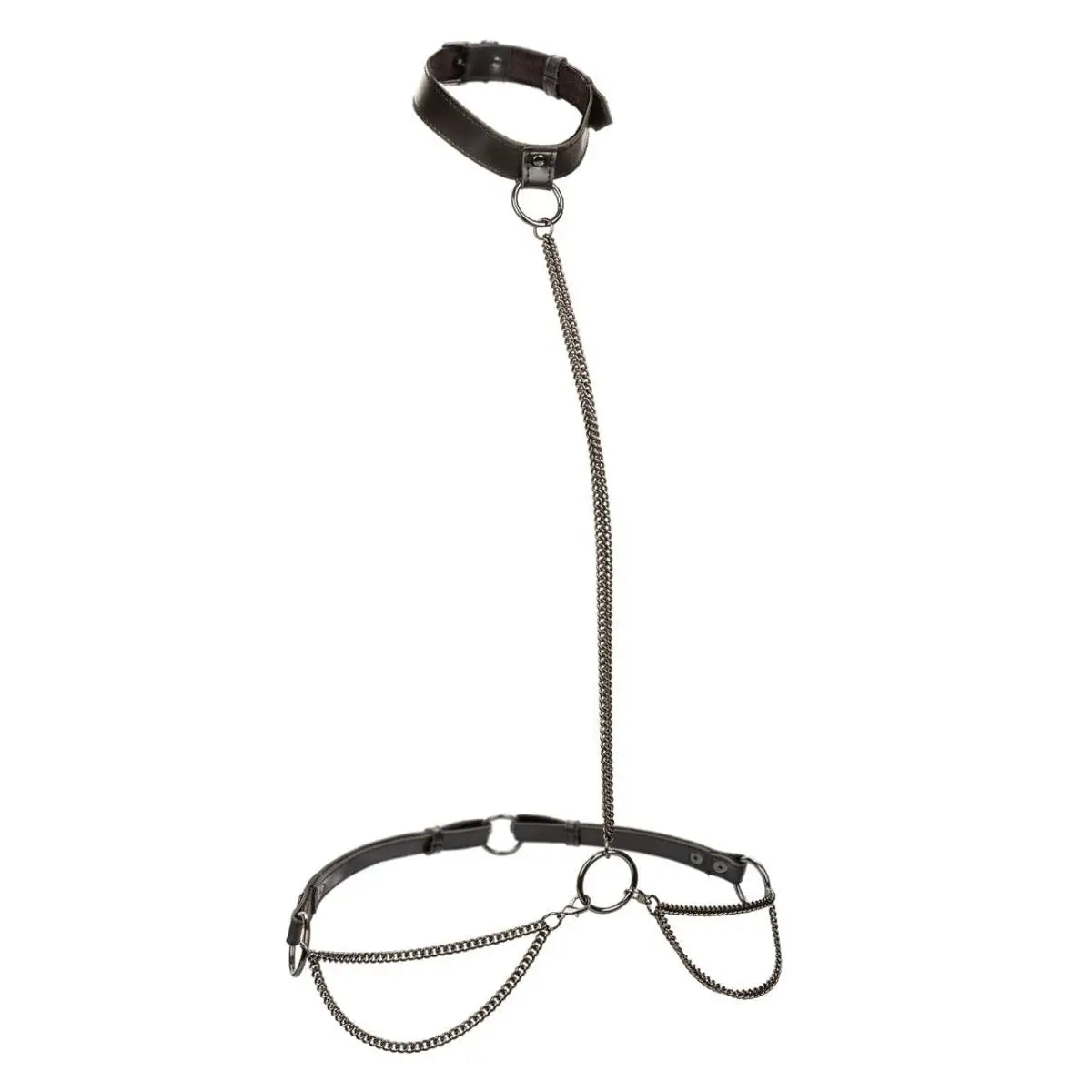 Euphoria Collection Chain Halter/Collar & Leash - Rolik®