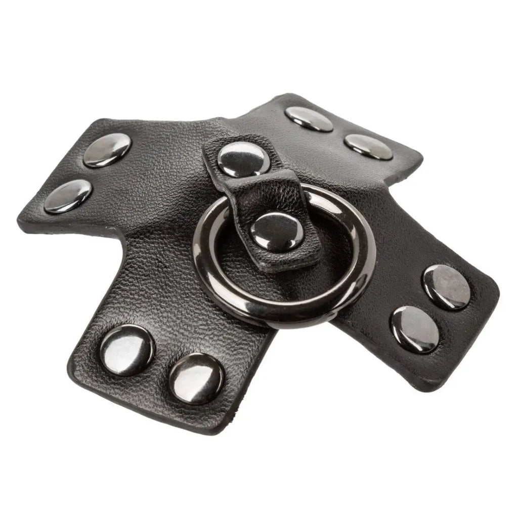 Euphoria Collection O - Ring Pasties - Rolik®