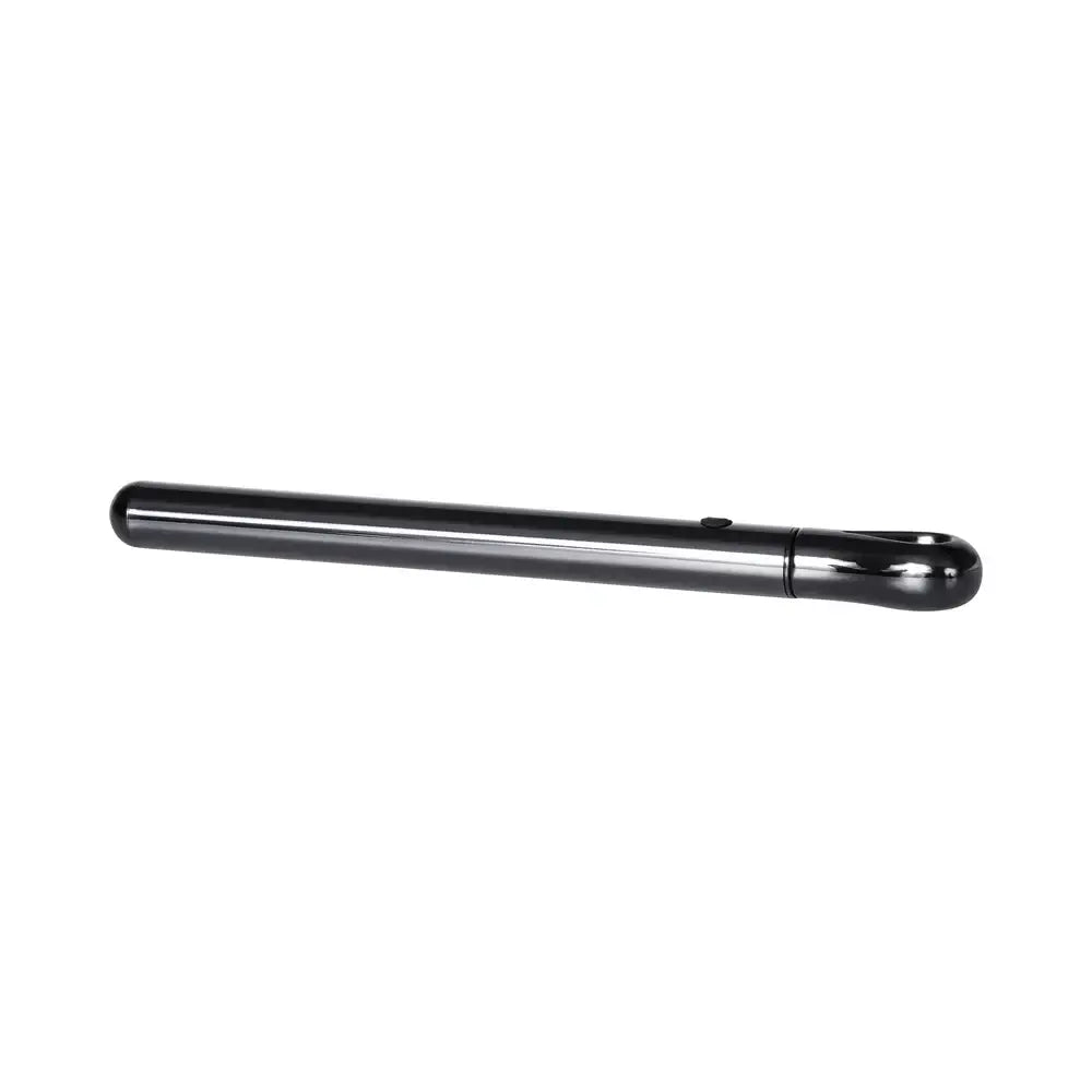 Pen Pal Stainless Steel Rechargeable Vibrator - Silver