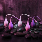 Evolved® Tight & Delight Silicone Kegel Set Of 5 - Rolik®