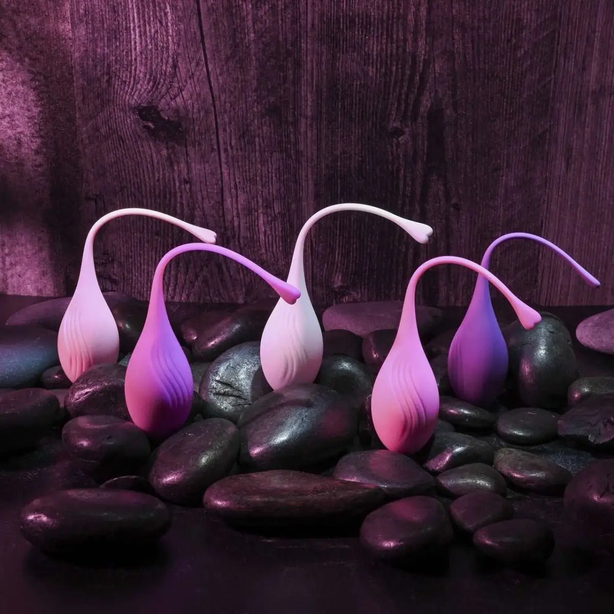 Evolved® Tight & Delight Silicone Kegel Set Of 5 - Rolik®