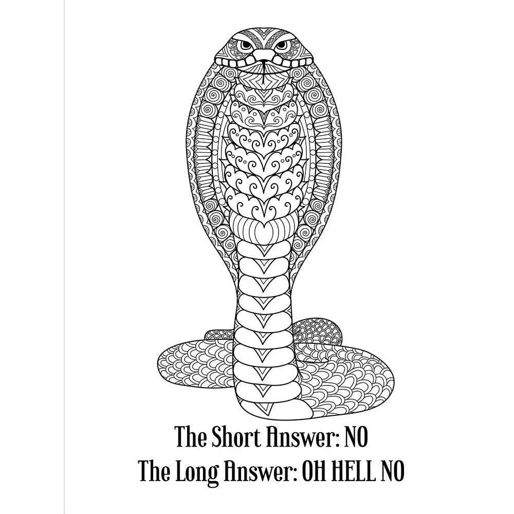 F*ck You Very Much Coloring Book - Books